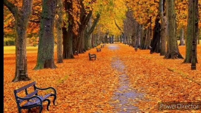 Осенняя природа смотреть онлайн
