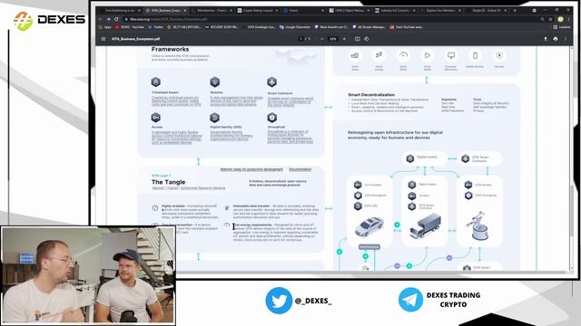 IOTA BUSINESS ECOSYSTEM - der große Überblick - #iotastrong смотреть онлайн