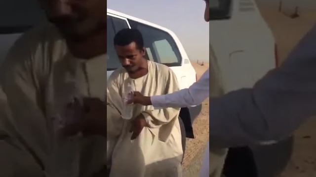 Вот идёт караван)) смотреть онлайн