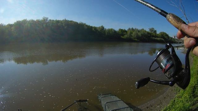 Рыбалка 2022. Белка принесла удачу. Ловля на фидер смотреть онлайн