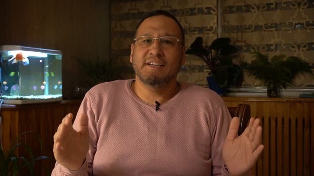 Саҳарқуш - Erithacus Rubecula парвариши. Зарянка. Содержание и уход.