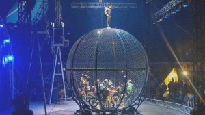 Цирк Демидовых. Шар смерти с мотоциклами.