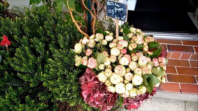 Готовимся ко второй волне 👑вируса/ Муж пригласил на обед/Здеь отдыхают французские селебрити