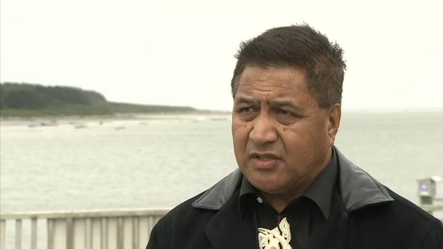 Manawatu River Leaders' Accord - Action Plan смотреть онлайн