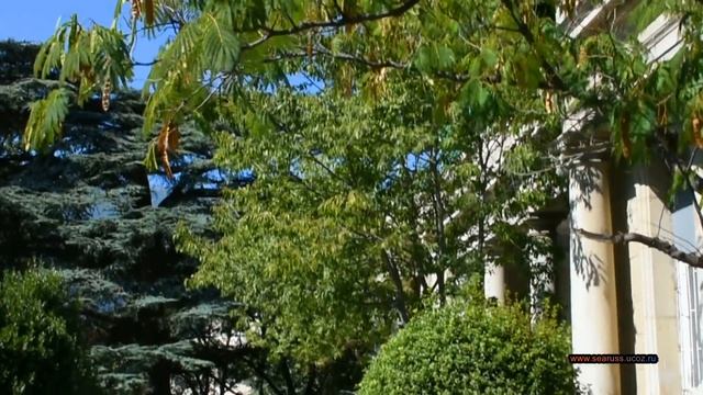 Крым, Ялта. Парк и дворец графа Мордвинова, особняк княгини Барятинской. Crimea, Yalta смотреть онлайн