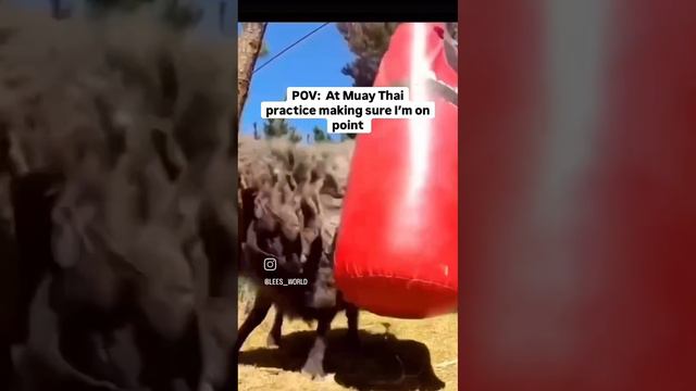 твой Кент когда бахнет рюмочку