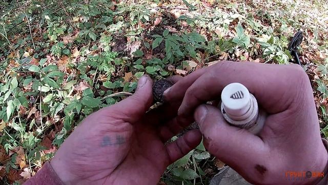 Поиск с Nokta Makro Anfibio Multi на старинном урочище