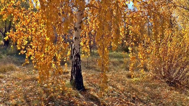 Сколько лет России на самом деле? смотреть онлайн