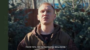 ?Как правильно посадить тую 1,5-2 м Все, что нужно знать о посадке туи