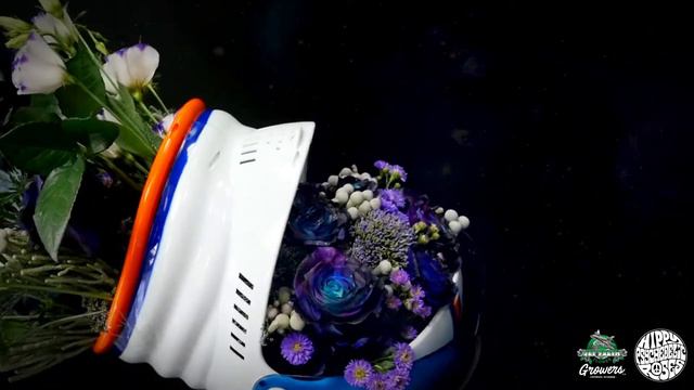 JFTV: #HippyPsychedelicRoses Fresh Inspiration - Astronaut Helmet Design with "Star Trek" roses смотреть онлайн