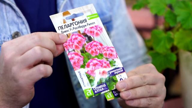 «Огород в подарок»: как правильно ухаживать за комнатными растениями зимой смотреть онлайн