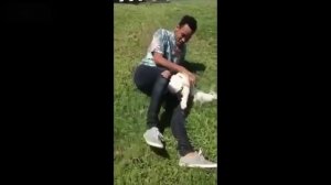 СОБАКИ ВСТРЕЧАЮТ ХОЗЯЕВ после долгой разлуки / ДО СЛЕЗ