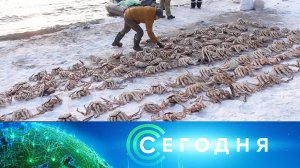 «Сегодня»: 11 апреля 2022 года. 13:00 | Выпуск новостей | Новости на НТВ
