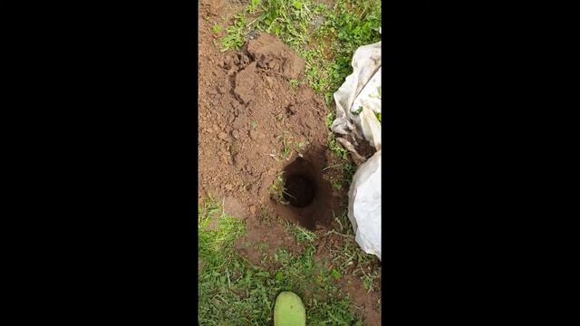 Обустройство компостной ямы смотреть онлайн