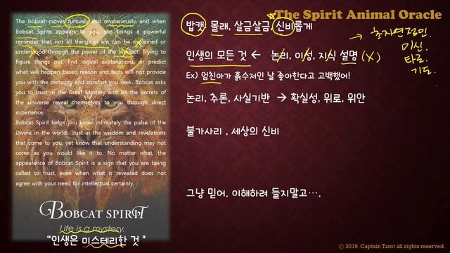 [더 스피릿 애니멀 오라클] 7~9 (The Spirit Animal Oracle 7~9) смотреть онлайн