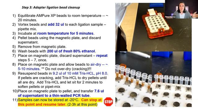 CPING Genomic DNA Library Prep Walkthrough with the Barrett Lab at WVU смотреть онлайн