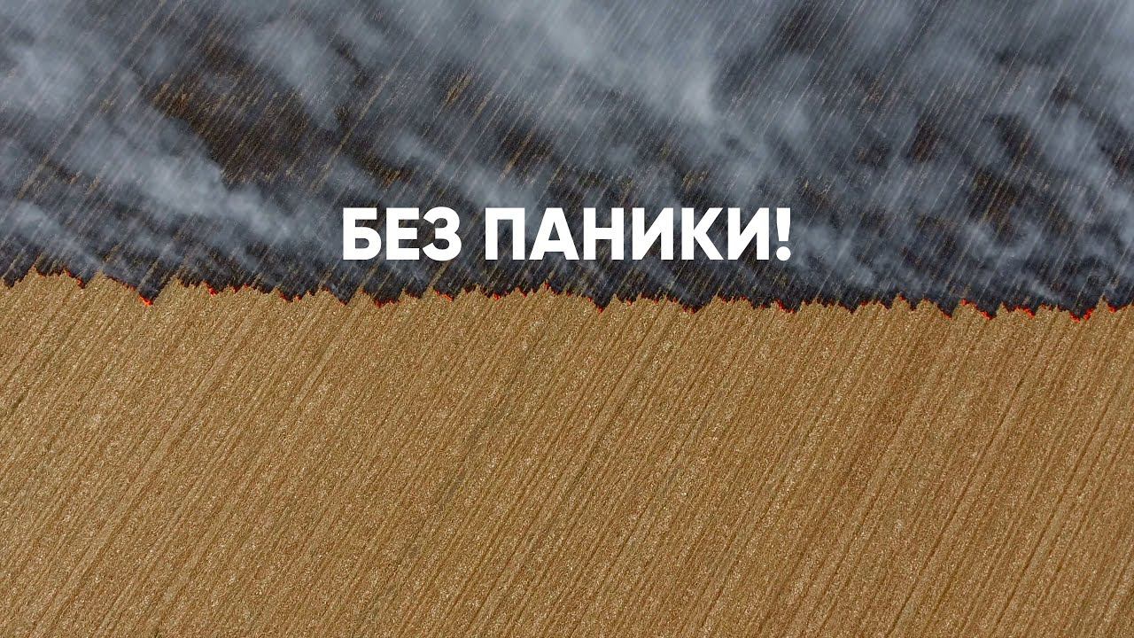 Без паники! смотреть онлайн