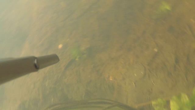 Обычная охота смотреть онлайн