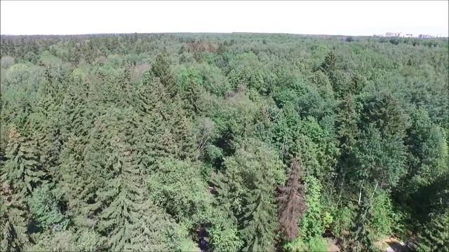 Парк им. Ларисы Лазутиной (г. Одинцово) смотреть онлайн