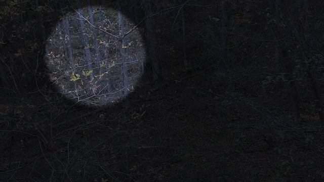 Ohio 21' Archery Public 2 Buck DOWN *Boat Access* смотреть онлайн