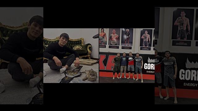 Наби Набиев про визу смотреть онлайн