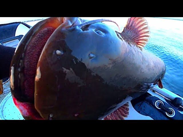 ЯМА 14 МЕТРОВ. ЧУТЬ РУКИ НЕ ОТОРВАЛ! РЫБАЛКА НА СОМА смотреть онлайн