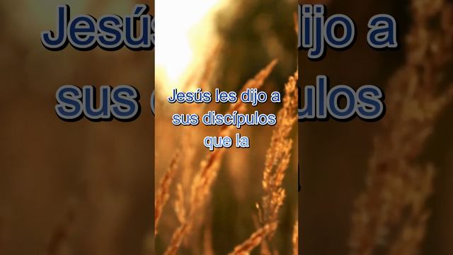 La Parábola del Sembrador (Mateo 13:1-23) смотреть онлайн