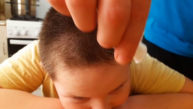 Дася и Мася