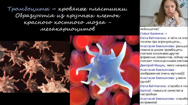 Биология. ЕГЭ2021. Кровеносная система человека (разберем сложную тему простым языком)