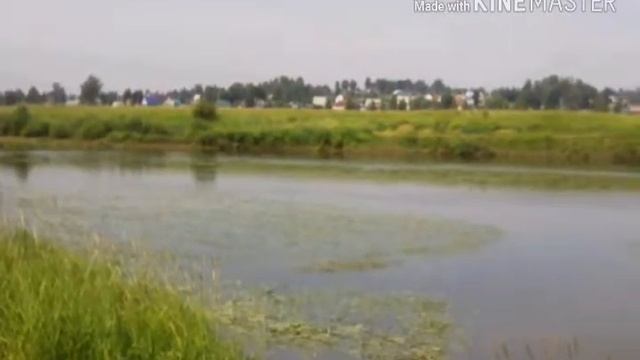 Клип фредди были танцы смотреть онлайн