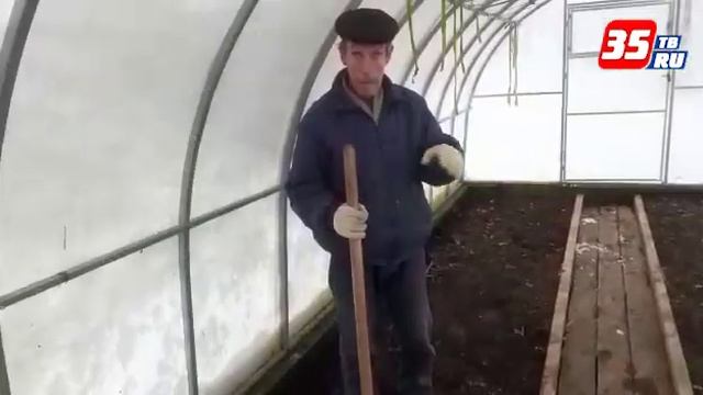 Эксперименты по вскапыванию и удобрению грунта в теплице смотреть онлайн