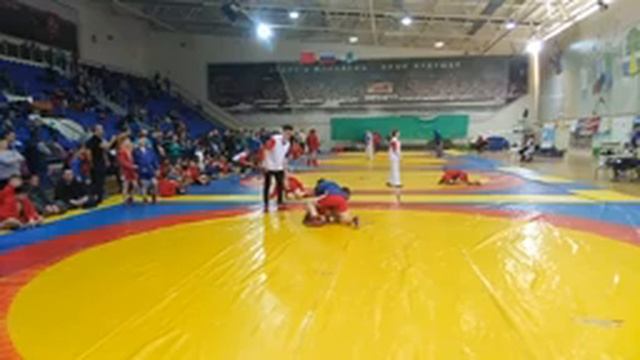 Традиционный турнир по самбо "Герои спорта" 17 марта 2019 смотреть онлайн