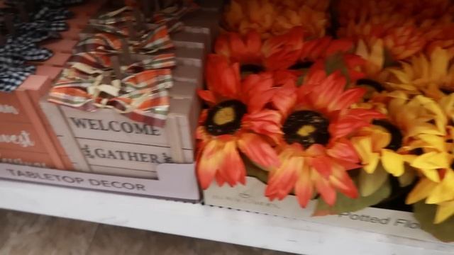 DOLLAR TREE * NEW FALL DECOR 2023 смотреть онлайн