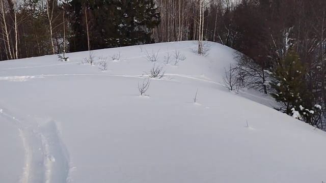 Охота на лис с капканами. смотреть онлайн