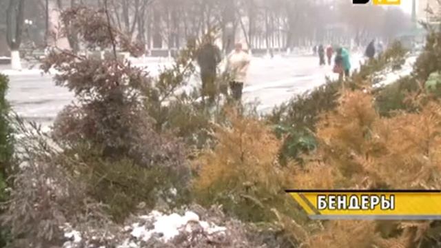 22 декабря в Бендерах зажгутся новогодние елки смотреть онлайн