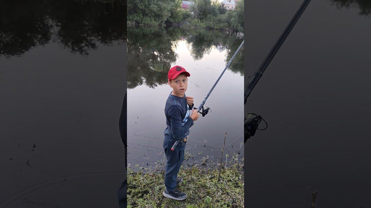 Рыбалка с охраной места ловли#рыбалка #fishing #собака #овчарка #вео #viral #смешно #поплавок #топ смотреть онлайн
