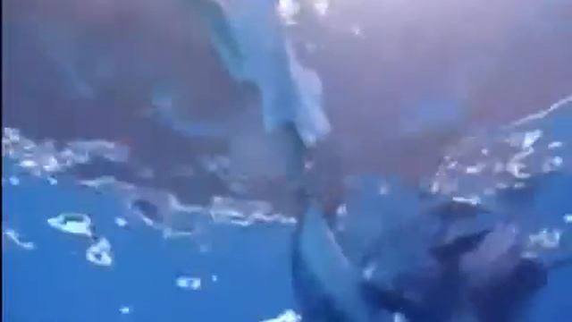 Артемьев - "Девочка и дельфин" смотреть онлайн