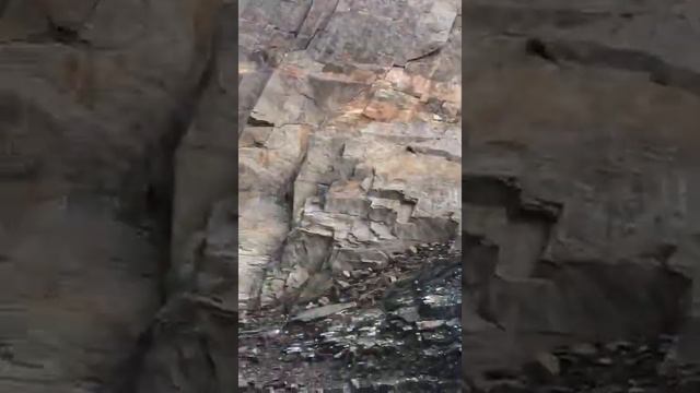 Безоаровый козел в горах Дагестана? смотреть онлайн