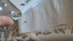 Глистогонка котят Милпразоном 09.09.2023. Следующая 20-21 сентября 2023