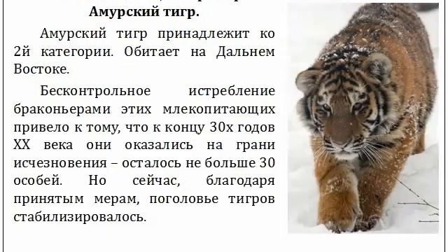 Презентация "КРАСНАЯ КНИГА РОССИИ" смотреть онлайн