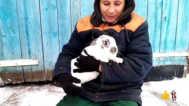 Кролик ,две кошки и Я хотели поздравить вас с наступающим новым годом, но что-то пошло не так. смотреть онлайн