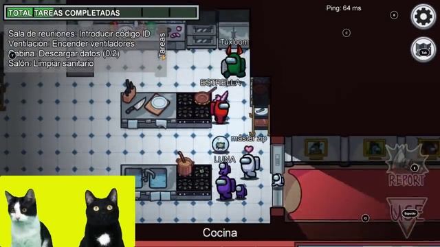 AMONG US NUEVO MAPA AIRSHIP con mis gatos graciosos Luna y Estrella 1 / Videos de juegos con gatito смотреть онлайн