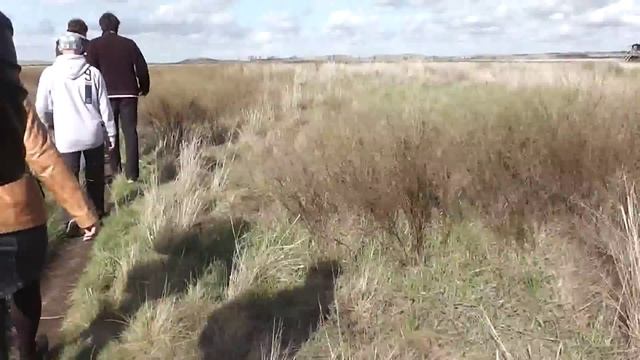 Экскурсия на городище "Аркаим" смотреть онлайн