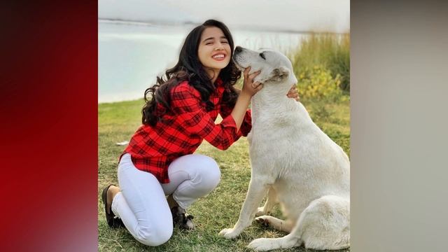 Mashxurlar Kuchuklari Bilan 2019