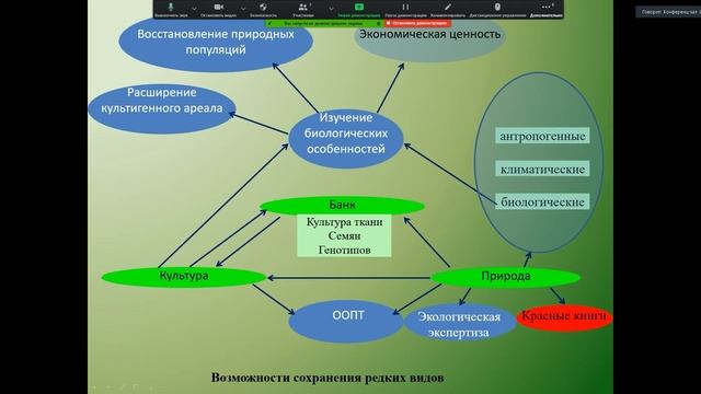 Что такое «редкий вид» и как его сохранить? смотреть онлайн