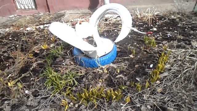 Первые цветы! #ГужевTV смотреть онлайн