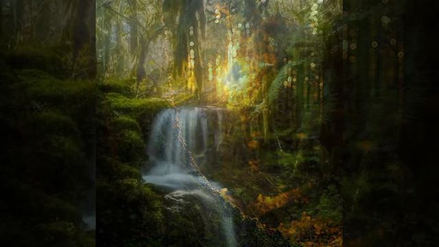 Целебные звуки–Сны северного моря смотреть онлайн