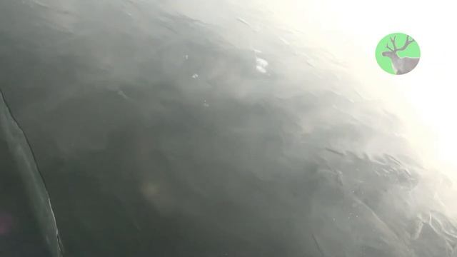 Забайкалье. Иван-Озеро, ноябрь 2011 смотреть онлайн