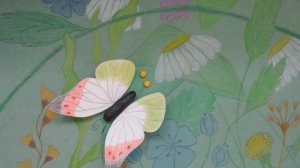 Как появляется бабочка!