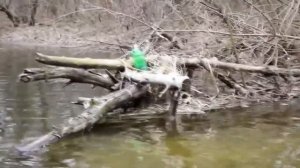 Ловля щуки ранней весной